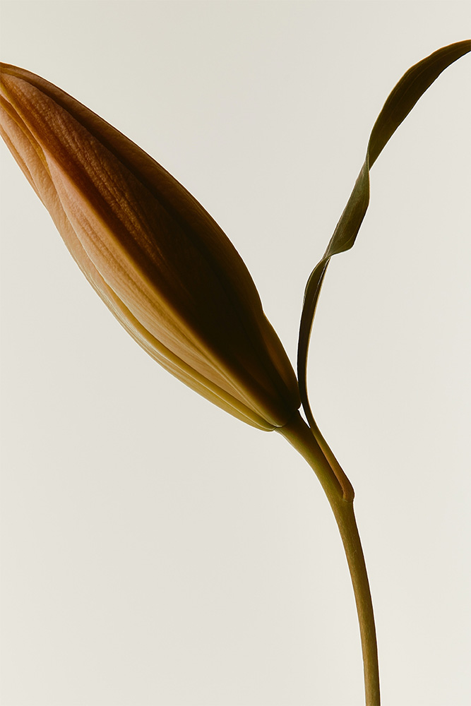 DTS_Daniel_Farò_Everyday_Objects_016 1